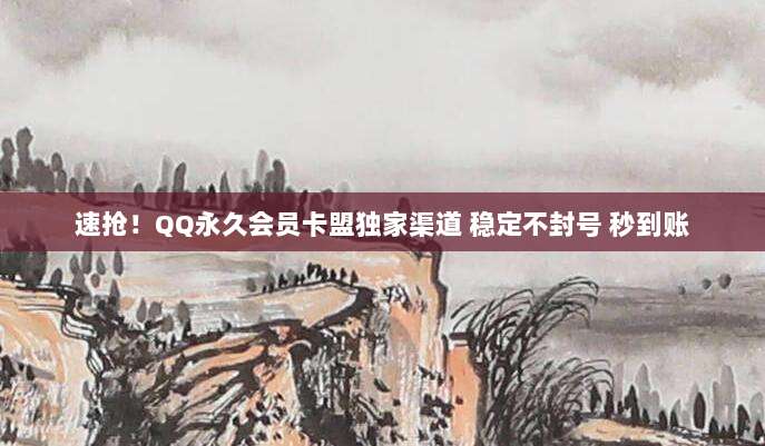 速抢!QQ永久会员卡盟独家渠道 稳定不封号 秒到账