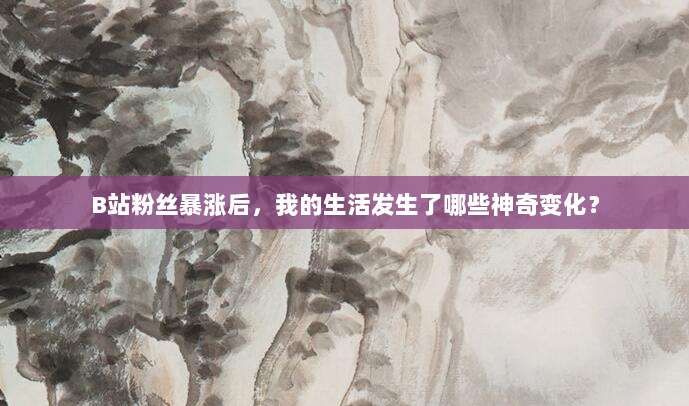 B站粉丝暴涨后,我的生活发生了哪些神奇变化?