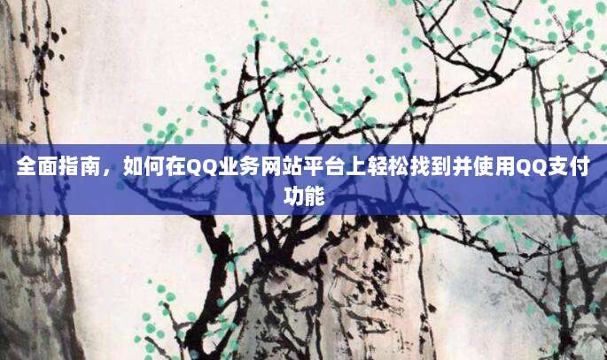 全面指南，如何在QQ业务网站平台上轻松找到并使用QQ支付功能