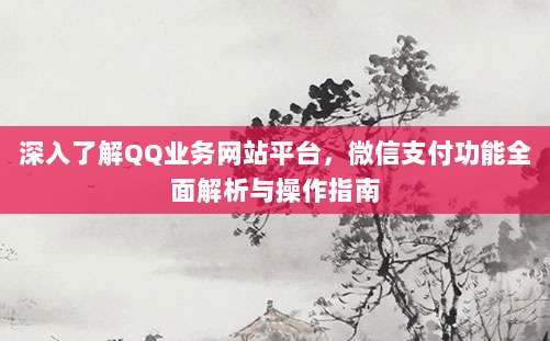 深入了解QQ业务网站平台，微信支付功能全面解析与操作指南