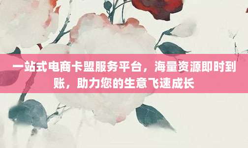 一站式电商卡盟服务平台，海量资源即时到账，助力您的生意飞速成长