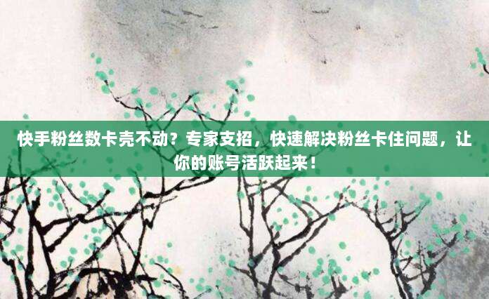 快手粉丝数卡壳不动？专家支招，快速解决粉丝卡住问题，让你的账号活跃起来！