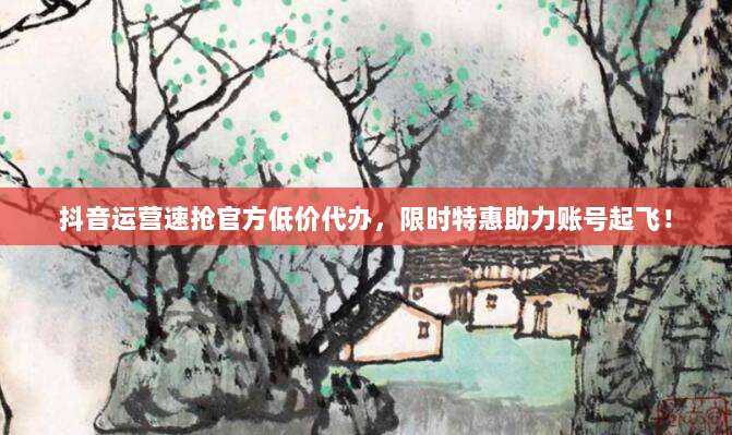 抖音运营速抢官方低价代办，限时特惠助力账号起飞！