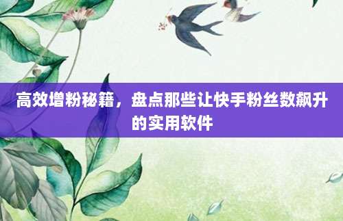 高效增粉秘籍，盘点那些让快手粉丝数飙升的实用软件