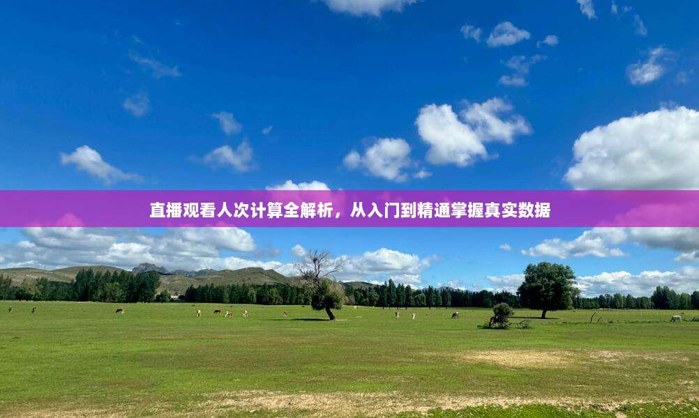 直播观看人次计算全解析，从入门到精通掌握真实数据