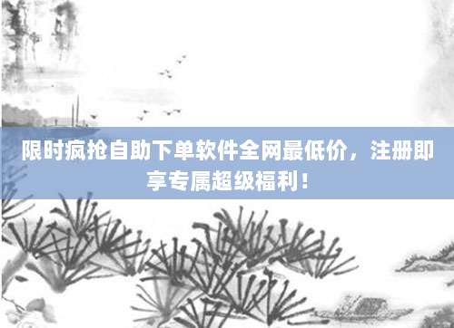 限时疯抢自助下单软件全网最低价,注册即享专属超级福利!