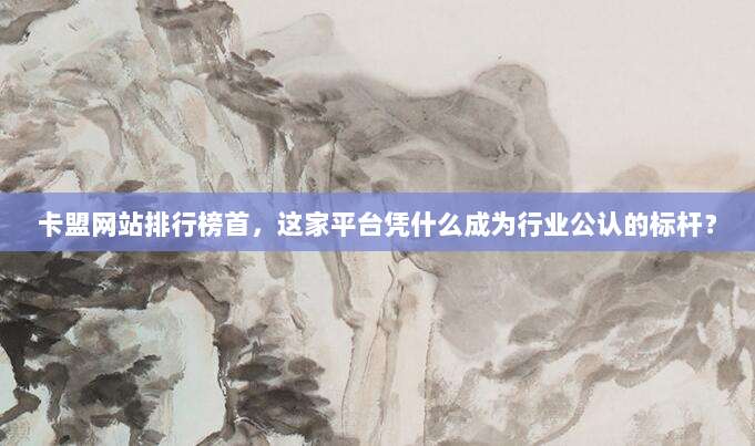 卡盟网站排行榜首，这家平台凭什么成为行业公认的标杆？