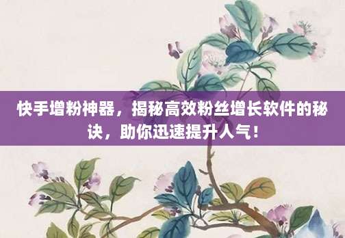 快手增粉神器，揭秘高效粉丝增长软件的秘诀，助你迅速提升人气！
