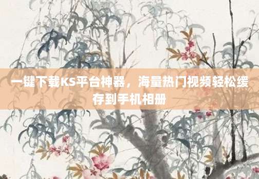 一键下载KS平台神器,海量热门视频轻松缓存到手机相册