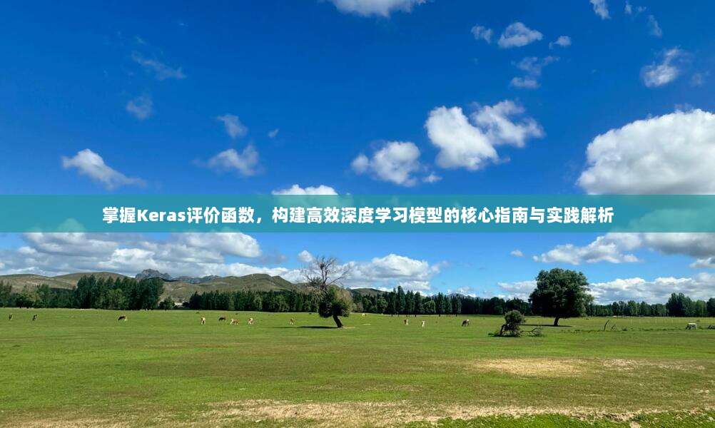掌握Keras评价函数,构建高效深度学习模型的核心指南与实践解析